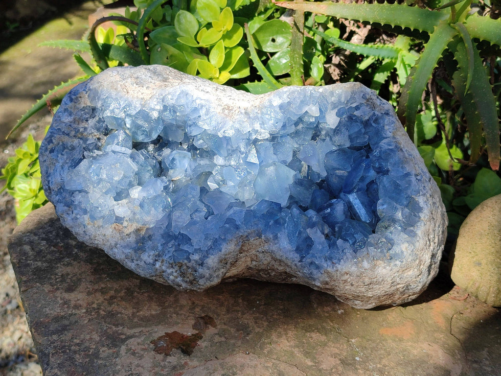 Natural Celestite Geode Specimen x 1 From Sakoany, Madagascar - Toprock Gemstones and Minerals 