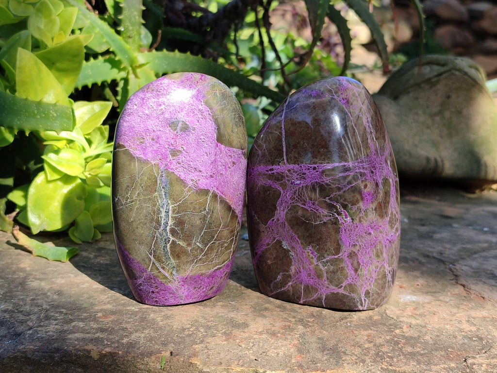 Polished Stichtite Standing Free Forms x 3 From Barberton, South Africa - Toprock Gemstones and Minerals 