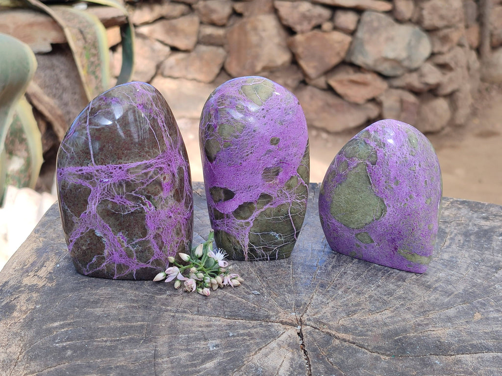 Polished Stichtite Standing Free Forms x 3 From Barberton, South Africa - Toprock Gemstones and Minerals 