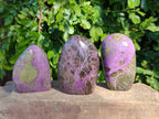 Polished Stichtite Standing Free Forms x 3 From Barberton, South Africa - Toprock Gemstones and Minerals 