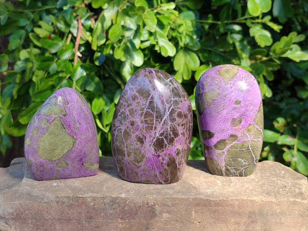Polished Stichtite Standing Free Forms x 3 From Barberton, South Africa