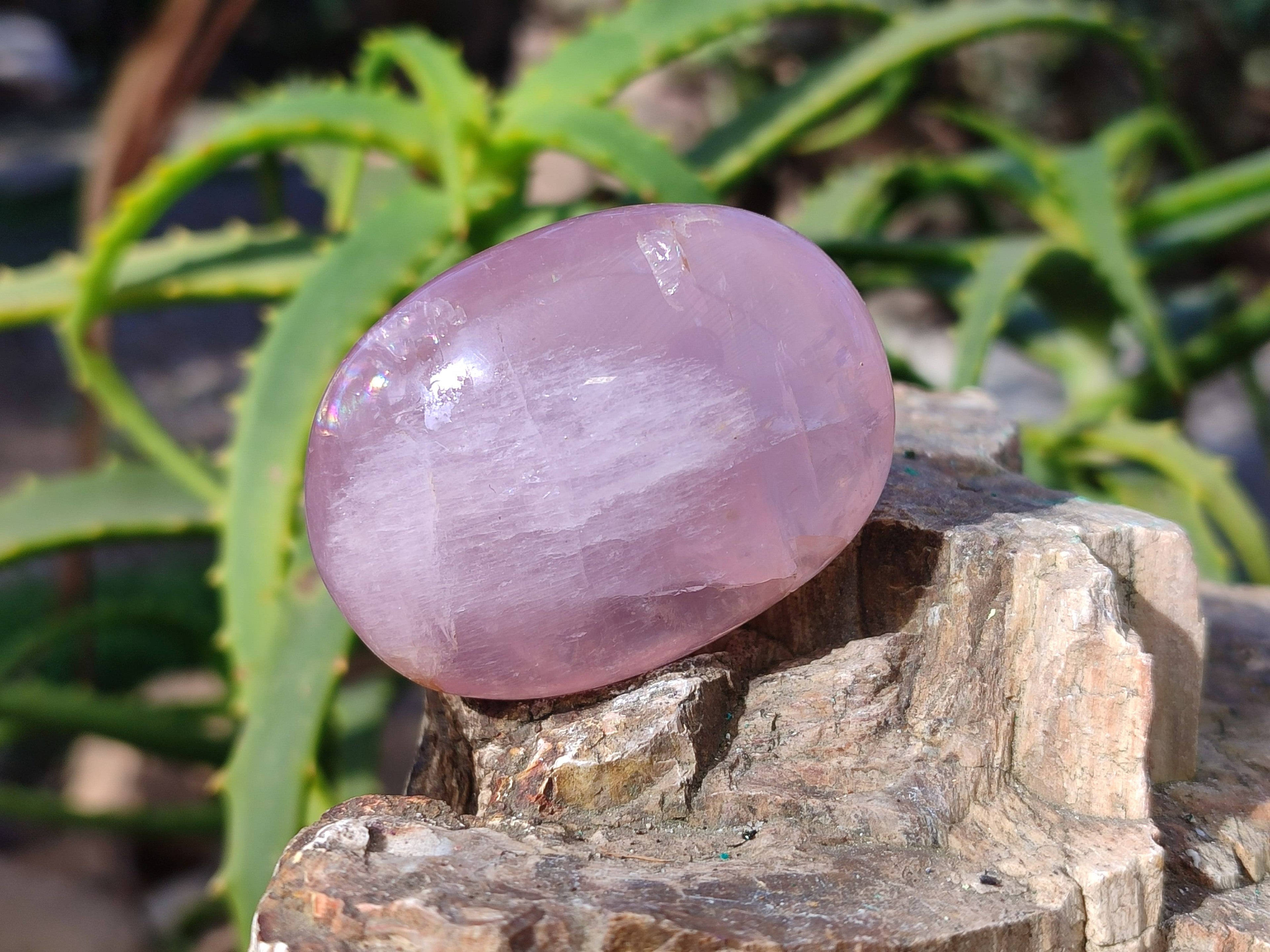 Polished Rose Quartz Palm Stones x 20 Madagascar - Toprock Gemstones and Minerals 