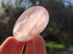 Polished Rose Quartz Palm Stones x 20 Madagascar - Toprock Gemstones and Minerals 