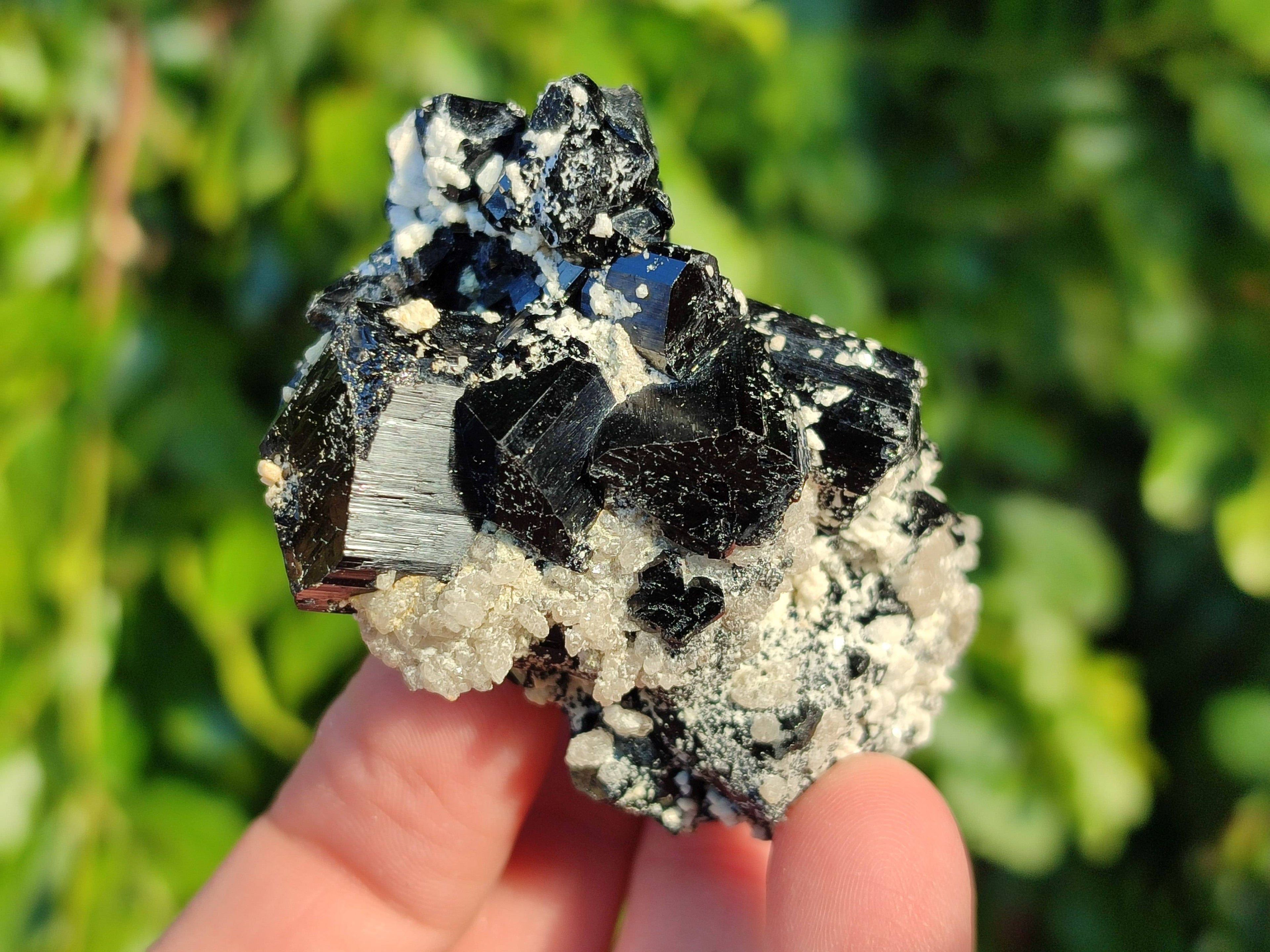 Natural Schorl Black Tourmaline Specimens x 12 From Erongo, Namibia - Toprock Gemstones and Minerals 