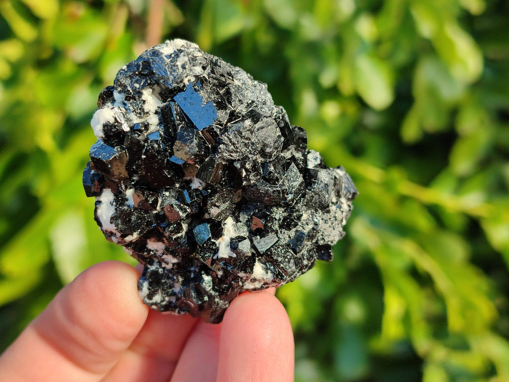 Natural Schorl Black Tourmaline Specimens x 12 From Erongo, Namibia - Toprock Gemstones and Minerals 