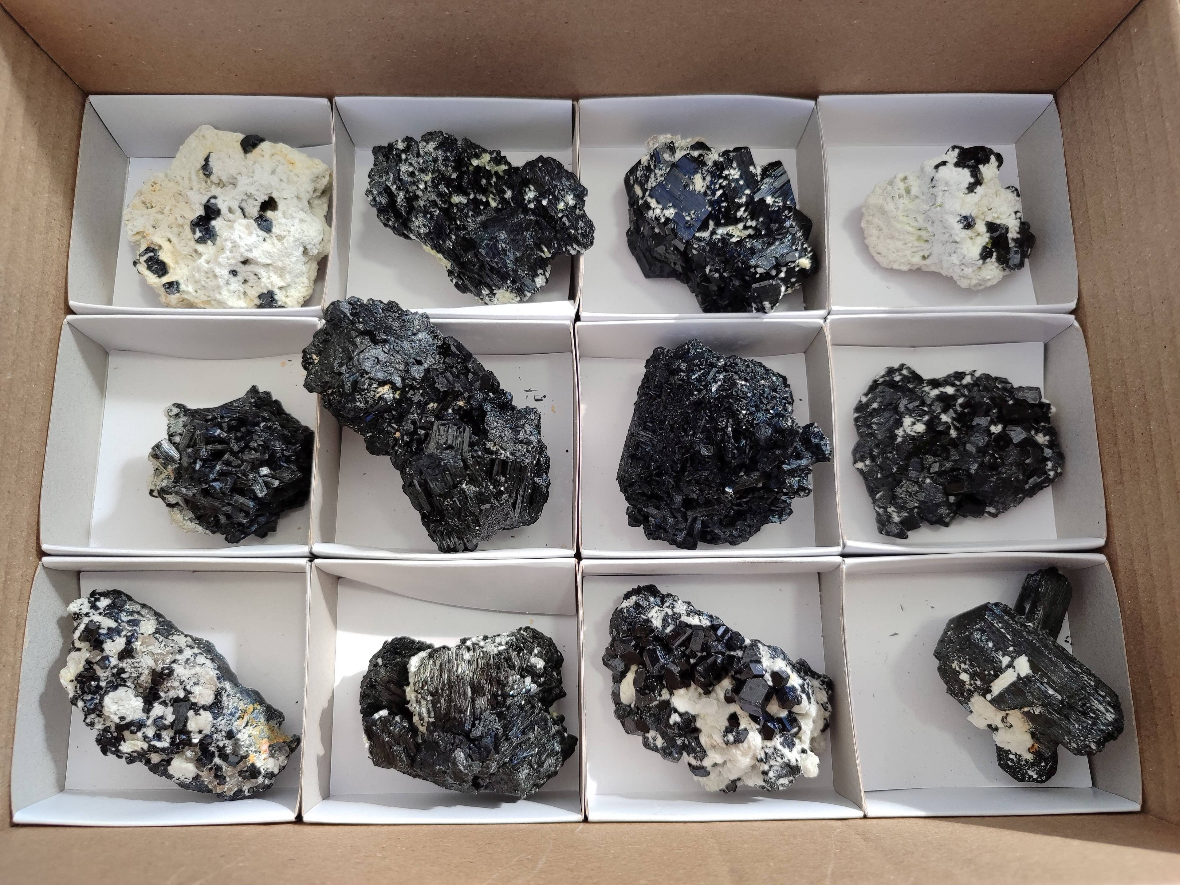 Natural Schorl Black Tourmaline Specimens x 12 From Erongo, Namibia - Toprock Gemstones and Minerals 