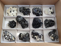 Natural Schorl Black Tourmaline Specimens x 12 From Erongo, Namibia