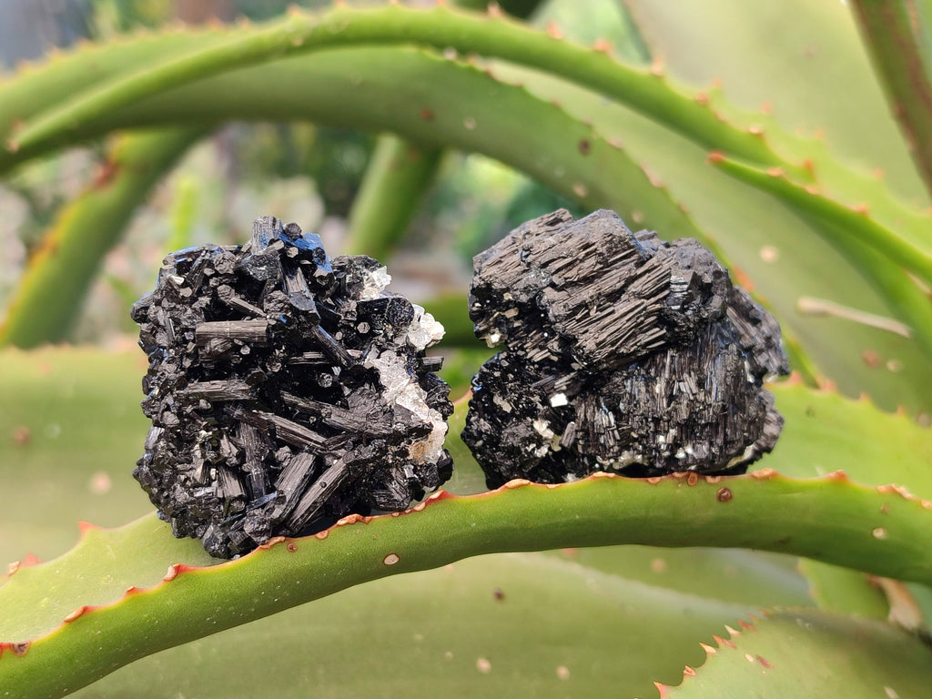 Natural Schorl Black Tourmaline Specimens x 12 From Erongo, Namibia - Toprock Gemstones and Minerals 