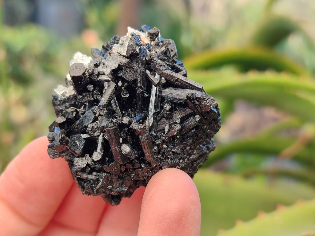 Natural Schorl Black Tourmaline Specimens x 12 From Erongo, Namibia - Toprock Gemstones and Minerals 