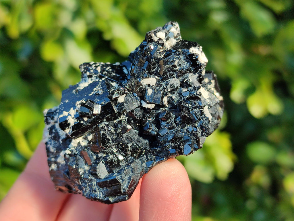Natural Schorl Black Tourmaline Specimens x 12 From Erongo, Namibia - Toprock Gemstones and Minerals 