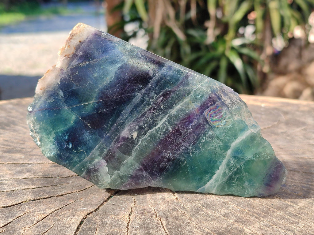 Polished On One Side Watermelon Fluorite x 3 From Uis, Namibia - Toprock Gemstones and Minerals 
