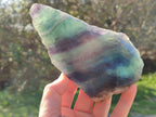 Polished On One Side Watermelon Fluorite x 3 From Uis, Namibia - Toprock Gemstones and Minerals 