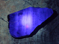 Polished On One Side Watermelon Fluorite x 3 From Uis, Namibia