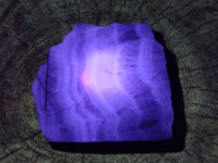 Polished On One Side Watermelon Fluorite x 3 From Uis, Namibia
