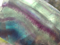 Polished On One Side Watermelon Fluorite x 3 From Uis, Namibia
