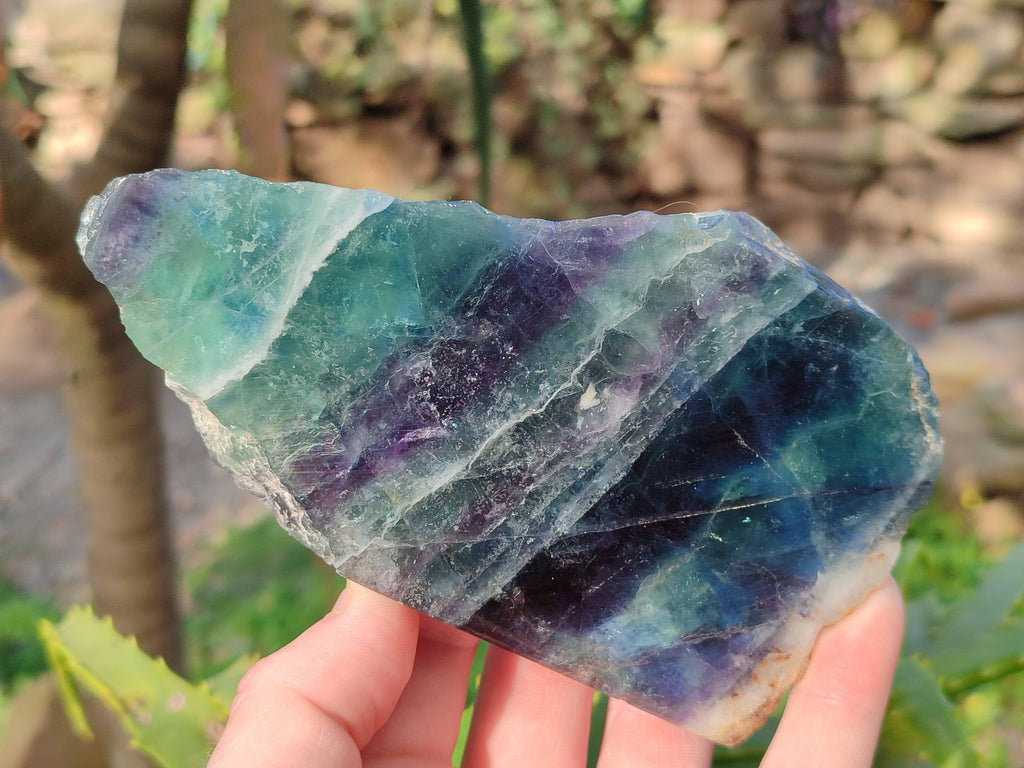Polished On One Side Watermelon Fluorite x 3 From Uis, Namibia - Toprock Gemstones and Minerals 