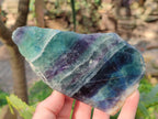 Polished On One Side Watermelon Fluorite x 3 From Uis, Namibia - Toprock Gemstones and Minerals 