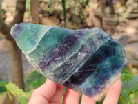 Polished On One Side Watermelon Fluorite x 3 From Uis, Namibia