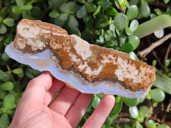 Polished On One Side 'Crazy' Blue Lace Agate x 6 From Namibia