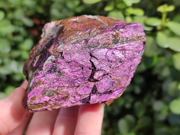 Natural Metallic Purpurite Cobbed Specimens x 4 From Erongo, Namibia