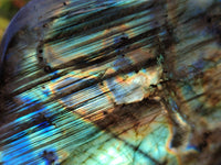 Polished Labradorite Standing Free Forms x 2 From Tulear, Madagascar - Toprock Gemstones and Minerals 