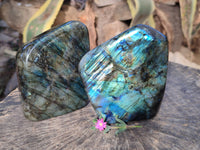 Polished Labradorite Standing Free Forms x 2 From Tulear, Madagascar - Toprock Gemstones and Minerals 