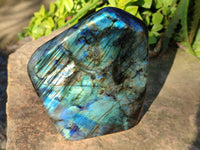 Polished Labradorite Standing Free Forms x 2 From Tulear, Madagascar - Toprock Gemstones and Minerals 