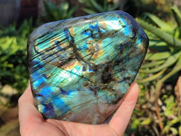 Polished Labradorite Standing Free Forms x 2 From Tulear, Madagascar - Toprock Gemstones and Minerals 