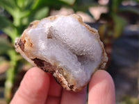 Natural Blue Lace Agate Geode Specimens x 24 From Nsanje, Malawi