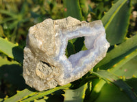 Natural Blue Lace Agate Geode Specimens x 24 From Nsanje, Malawi