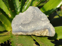 Natural Blue Lace Agate Geode Specimens x 24 From Nsanje, Malawi
