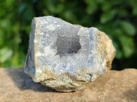 Natural Blue Lace Agate Geode Specimens x 24 From Nsanje, Malawi
