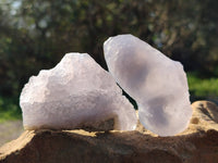 Natural Blue Lace Agate Geode Specimens x 24 From Nsanje, Malawi