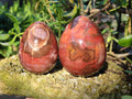 Polished Fossilized Podocarpus Petrified Wood Eggs x 4 From Mahajanga, Madagascar - Toprock Gemstones and Minerals 