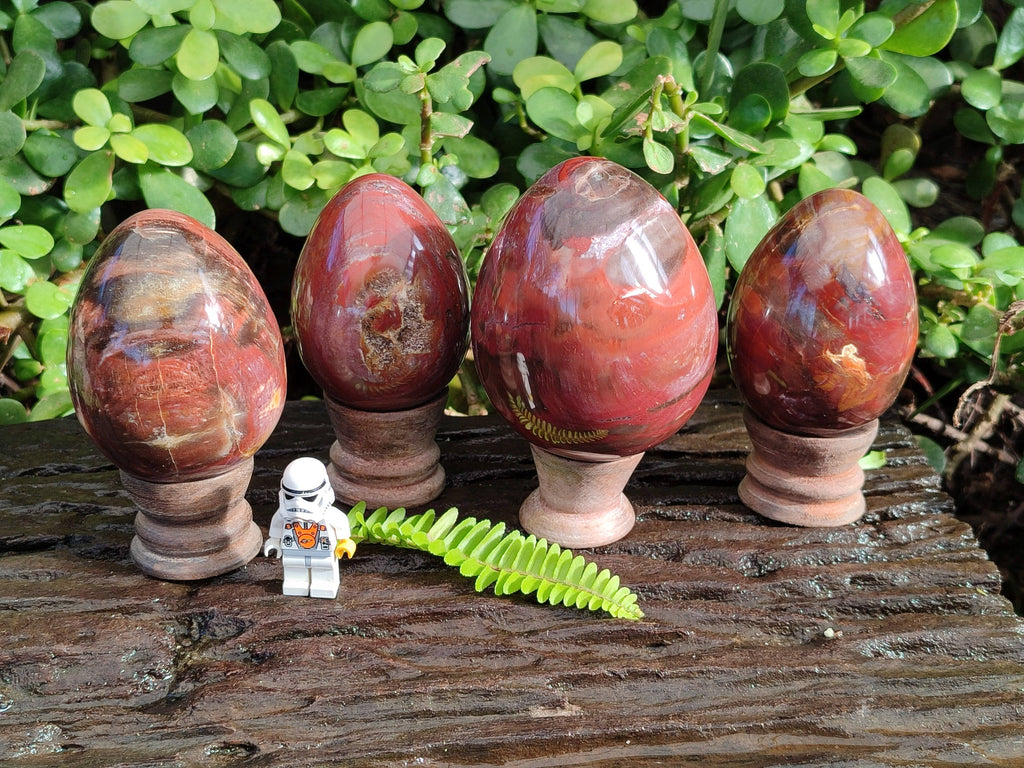 Polished Fossilized Podocarpus Petrified Wood Eggs x 4 From Mahajanga, Madagascar - Toprock Gemstones and Minerals 