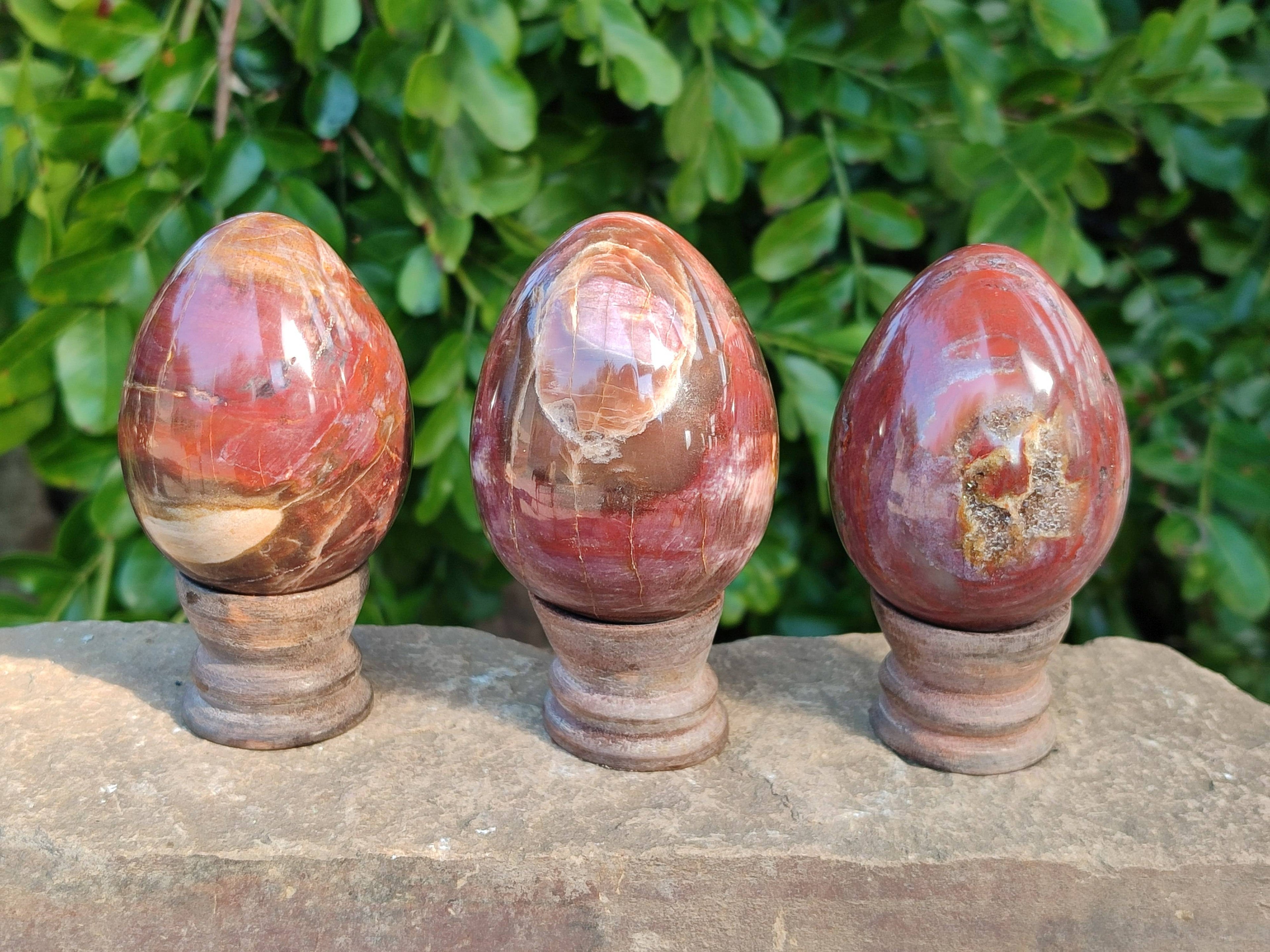 Polished Fossilized Podocarpus Petrified Wood Eggs x 4 From Mahajanga, Madagascar - Toprock Gemstones and Minerals 