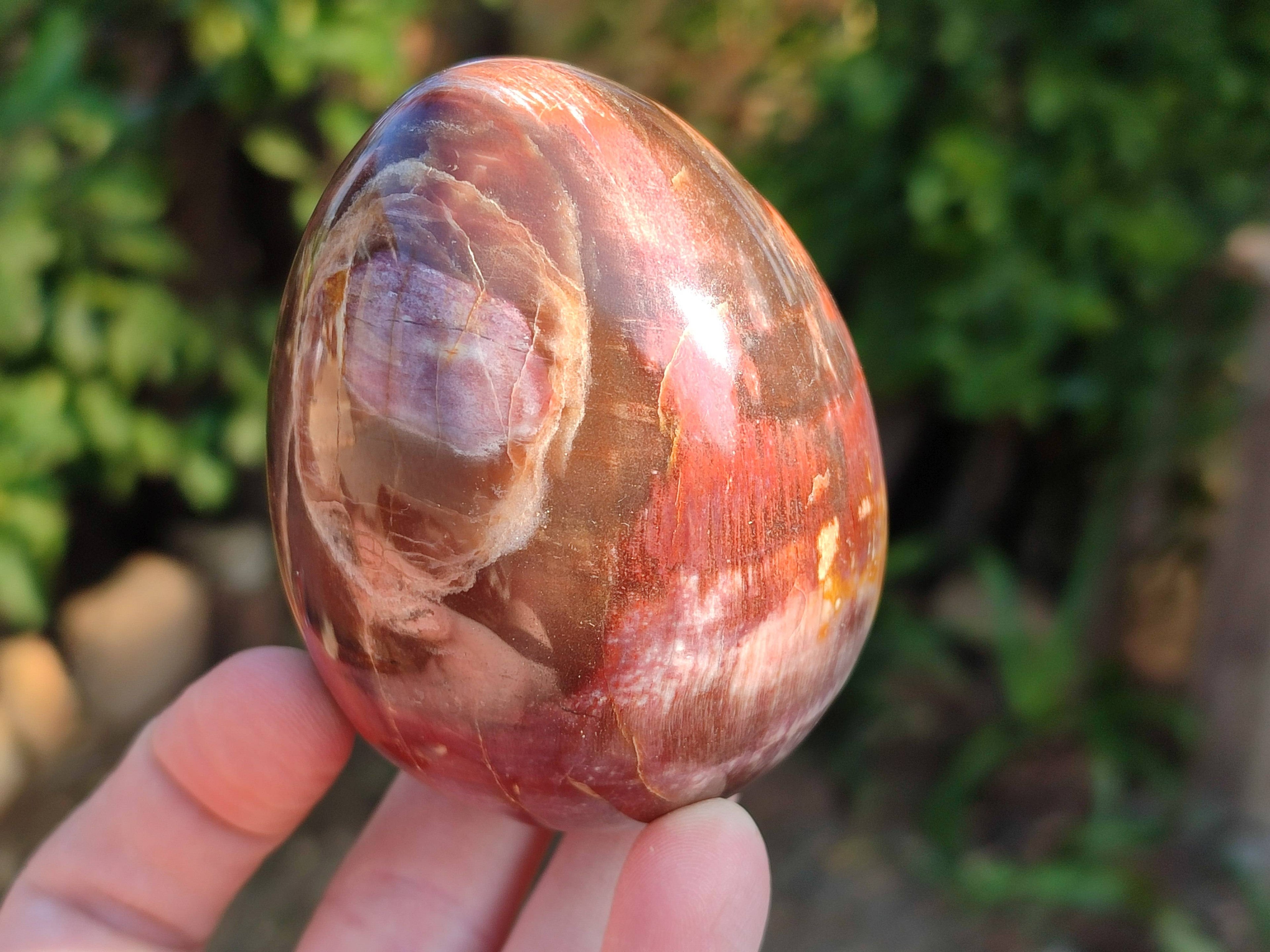 Polished Fossilized Podocarpus Petrified Wood Eggs x 4 From Mahajanga, Madagascar - Toprock Gemstones and Minerals 
