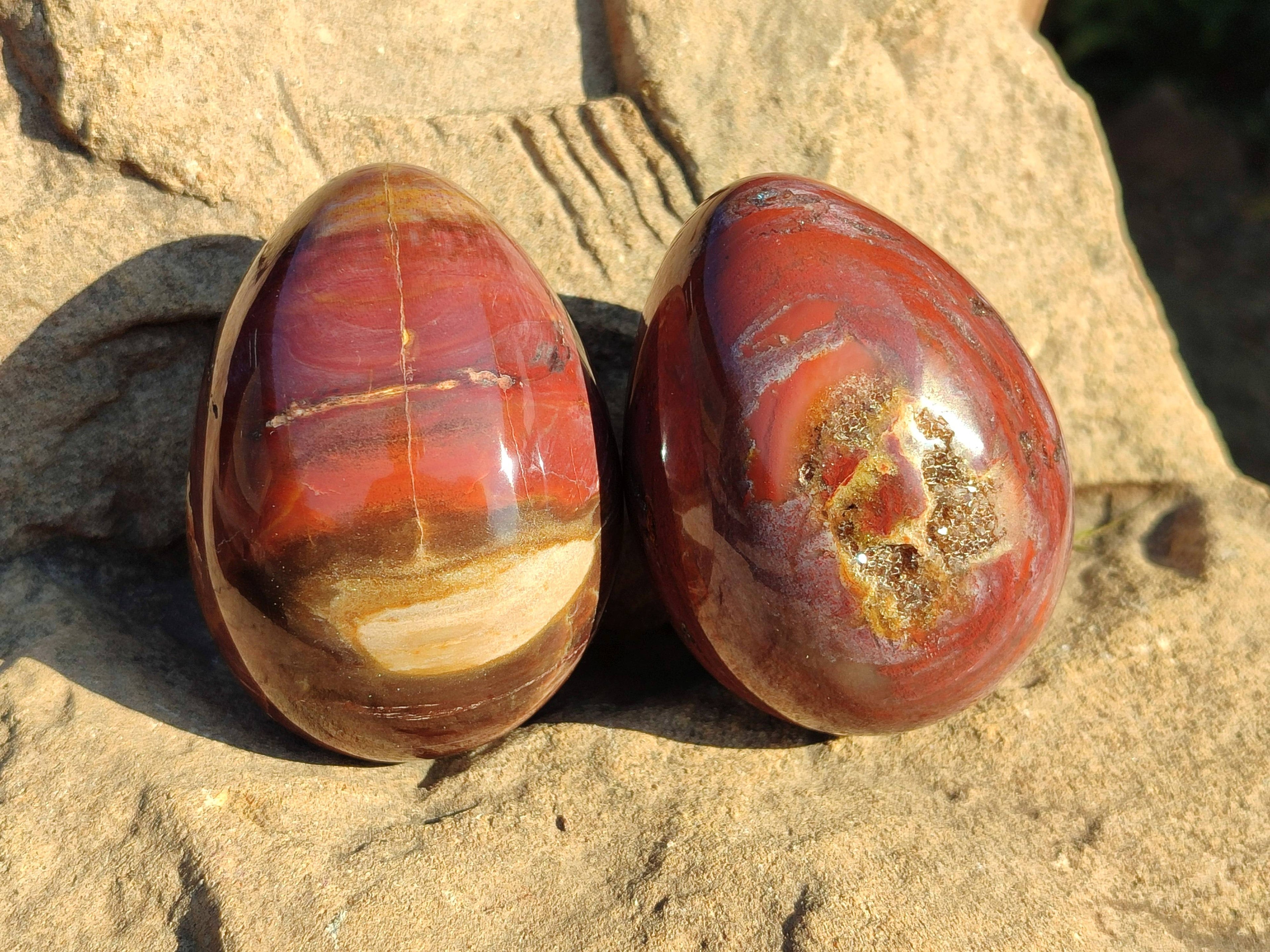 Polished Fossilized Podocarpus Petrified Wood Eggs x 4 From Mahajanga, Madagascar - Toprock Gemstones and Minerals 