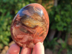 Polished Fossilized Podocarpus Petrified Wood Eggs x 4 From Mahajanga, Madagascar - Toprock Gemstones and Minerals 