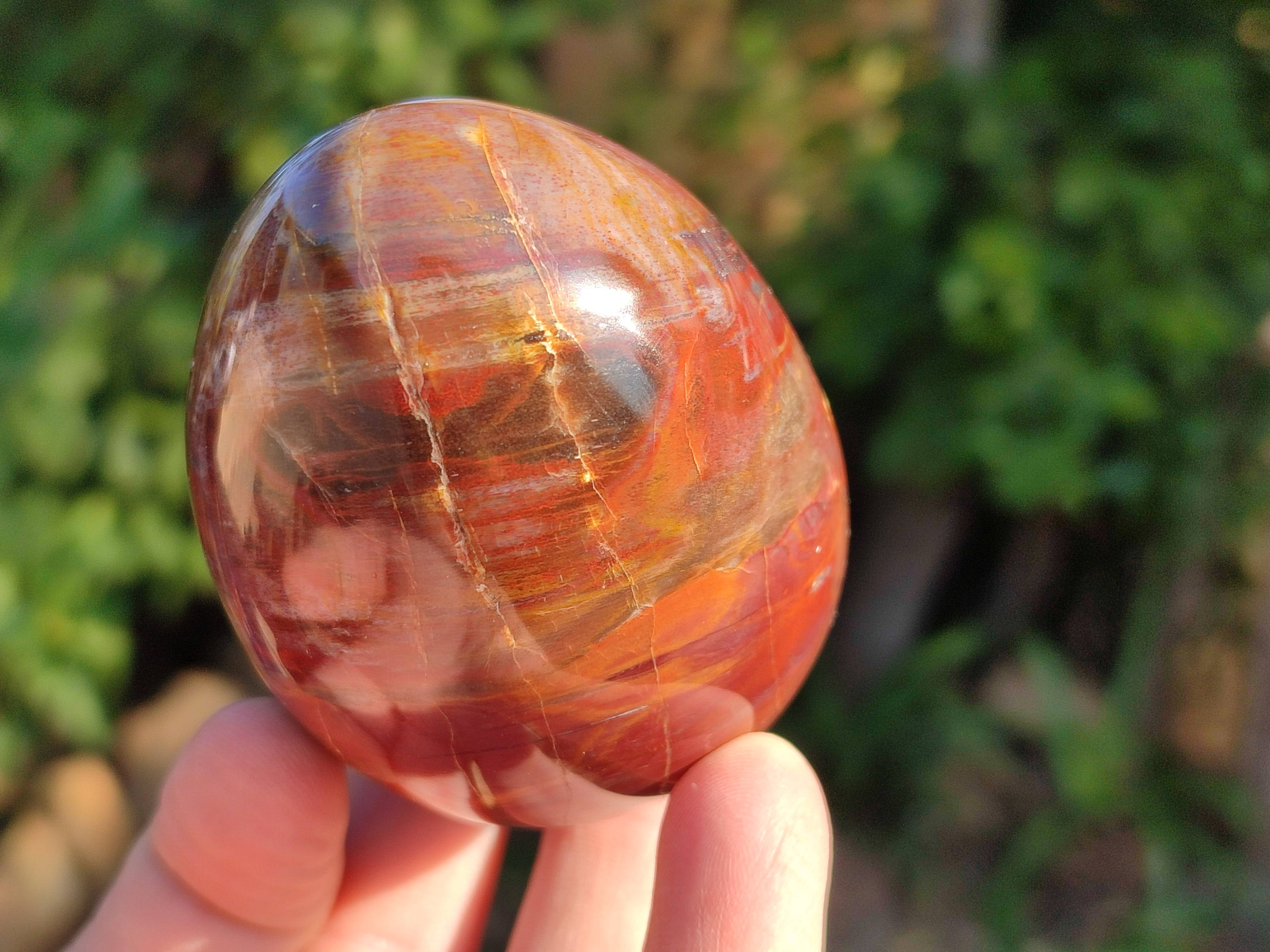 Polished Fossilized Podocarpus Petrified Wood Eggs x 4 From Mahajanga, Madagascar - Toprock Gemstones and Minerals 