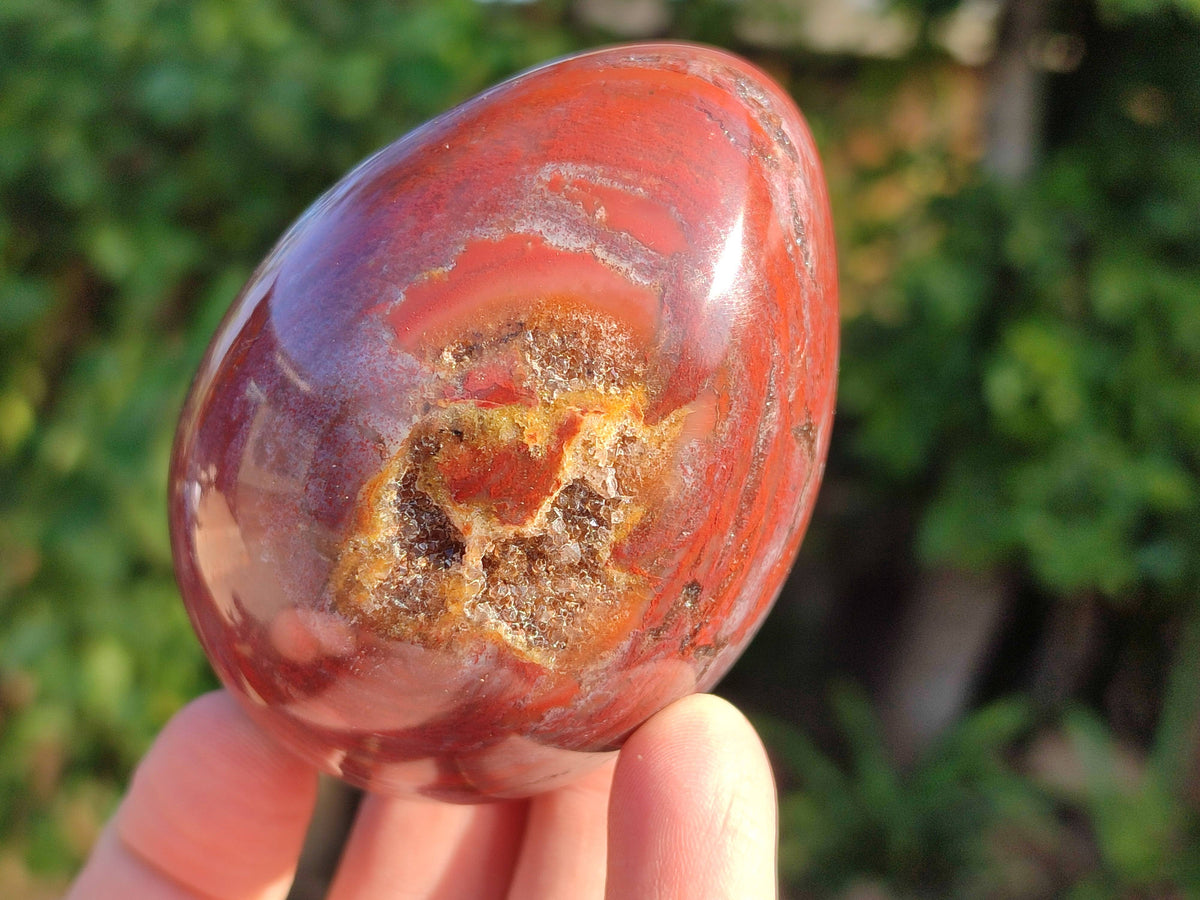 Polished Fossilized Podocarpus Petrified Wood Eggs x 4 From Mahajanga, Madagascar - Toprock Gemstones and Minerals 