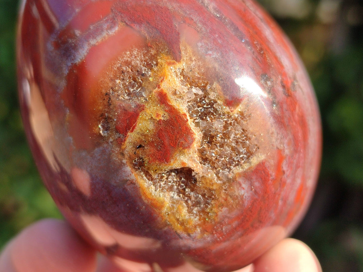 Polished Fossilized Podocarpus Petrified Wood Eggs x 4 From Mahajanga, Madagascar - Toprock Gemstones and Minerals 