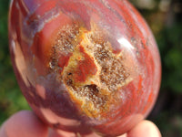 Polished Fossilized Podocarpus Petrified Wood Eggs x 4 From Mahajanga, Madagascar - Toprock Gemstones and Minerals 