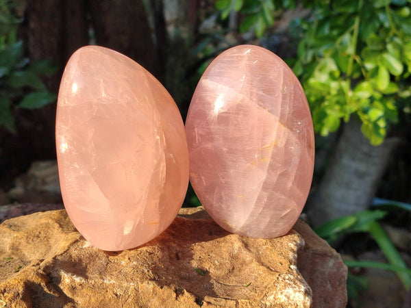 Polished Rose Quartz Standing Free Forms x 2 Madagascar - Toprock Gemstones and Minerals 