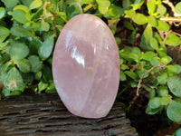 Polished Rose Quartz Standing Free Forms x 2 Madagascar - Toprock Gemstones and Minerals 