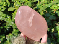 Polished Rose Quartz Standing Free Forms x 2 Madagascar - Toprock Gemstones and Minerals 
