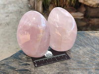 Polished Rose Quartz Standing Free Forms x 2 Madagascar - Toprock Gemstones and Minerals 
