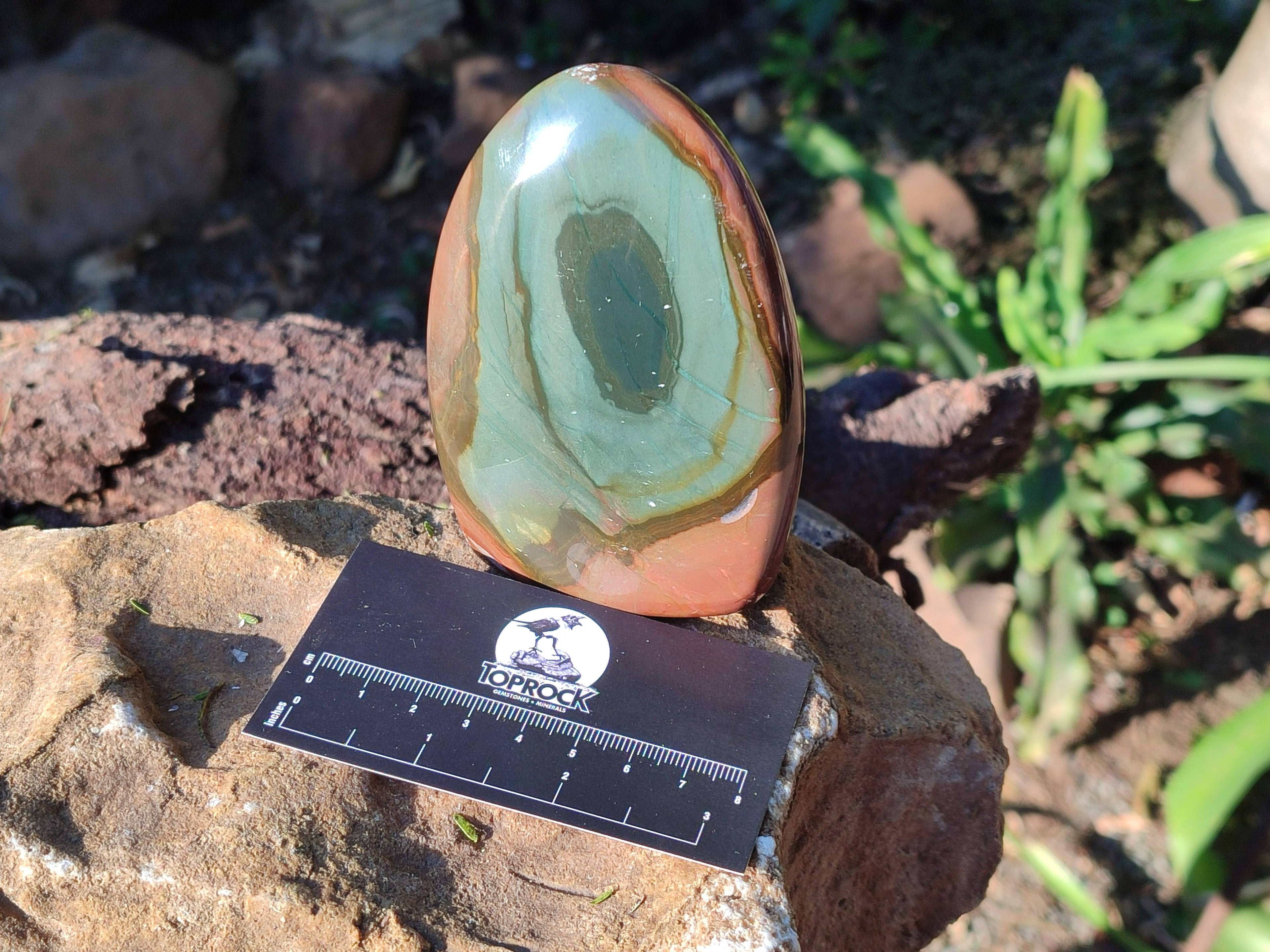 Polished Polychrome Jasper Standing Free Forms x 6 From Madagascar - Toprock Gemstones and Minerals 
