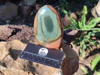 Polished Polychrome Jasper Standing Free Forms x 6 From Madagascar - Toprock Gemstones and Minerals 