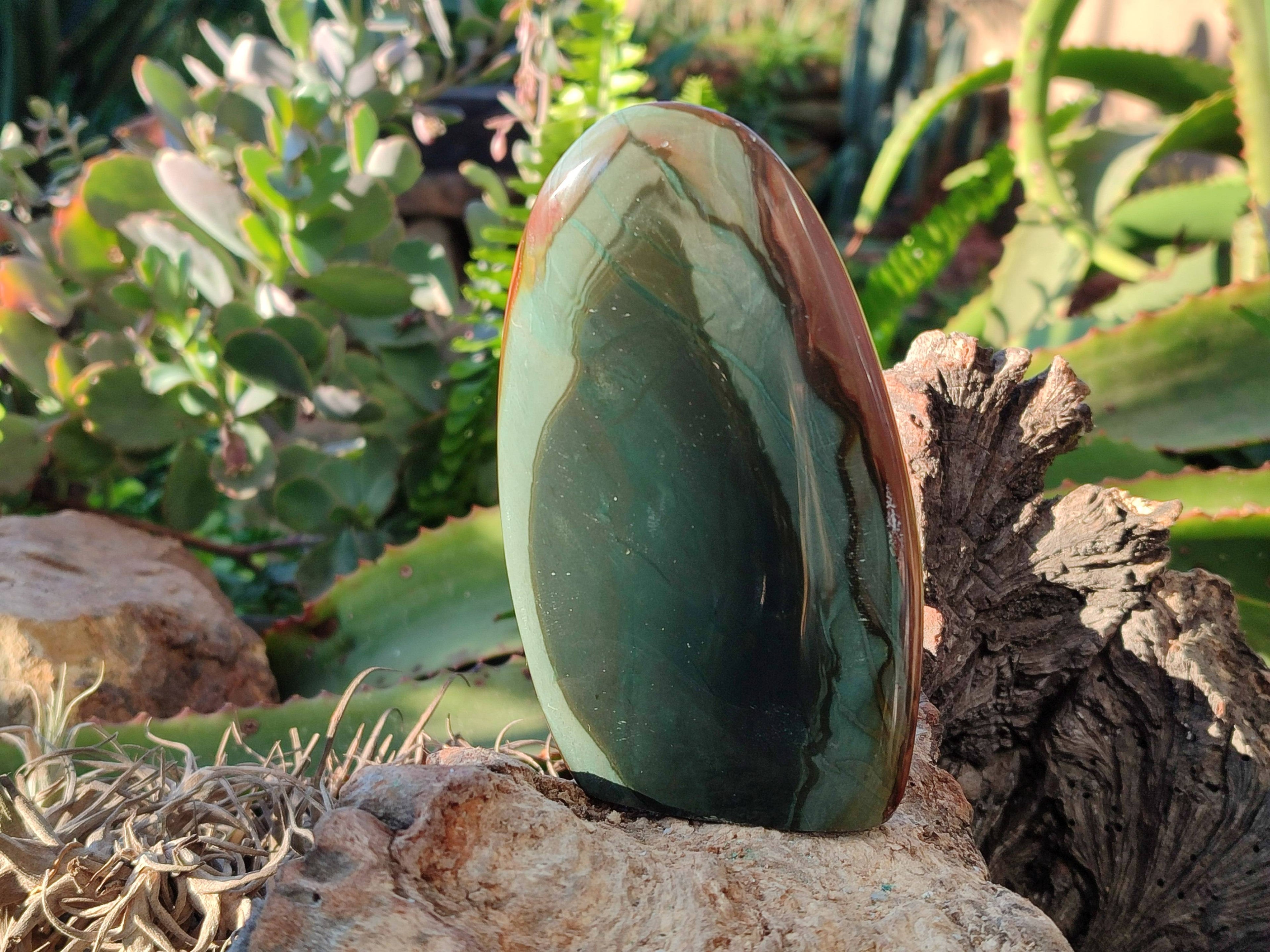 Polished Polychrome Jasper Standing Free Forms x 6 From Madagascar - Toprock Gemstones and Minerals 